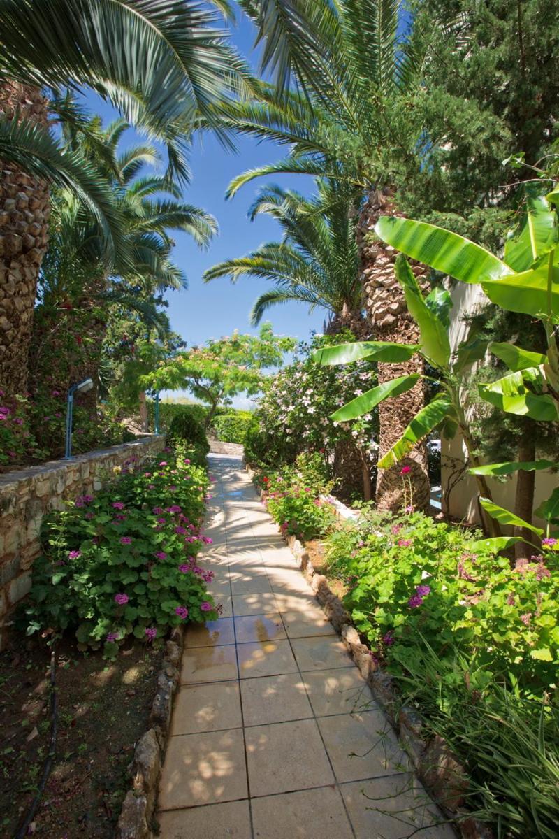 Rethymno Mare & Water Park Hotel Szkaléta Kültér fotó